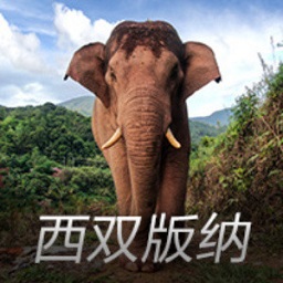 :beat365在线官网登录入口